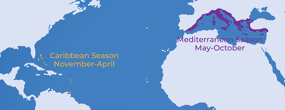 BEST CHARTER REGIONS BY MONTH